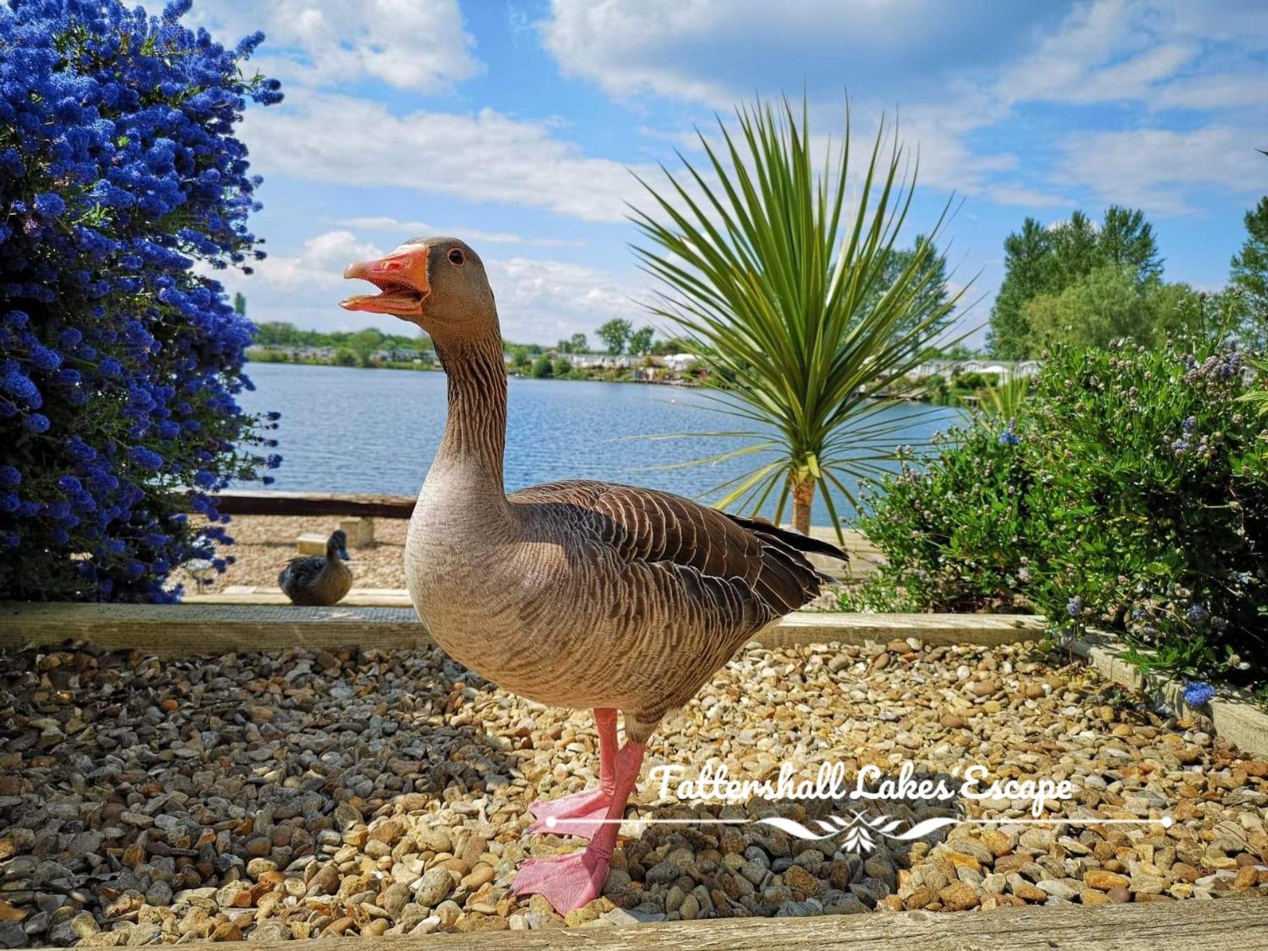 Meridian Tattershall Lakes Escape - Lakeside Lodge Caravan With A Fishing Peg Luxury Hot Tub Extérieur photo