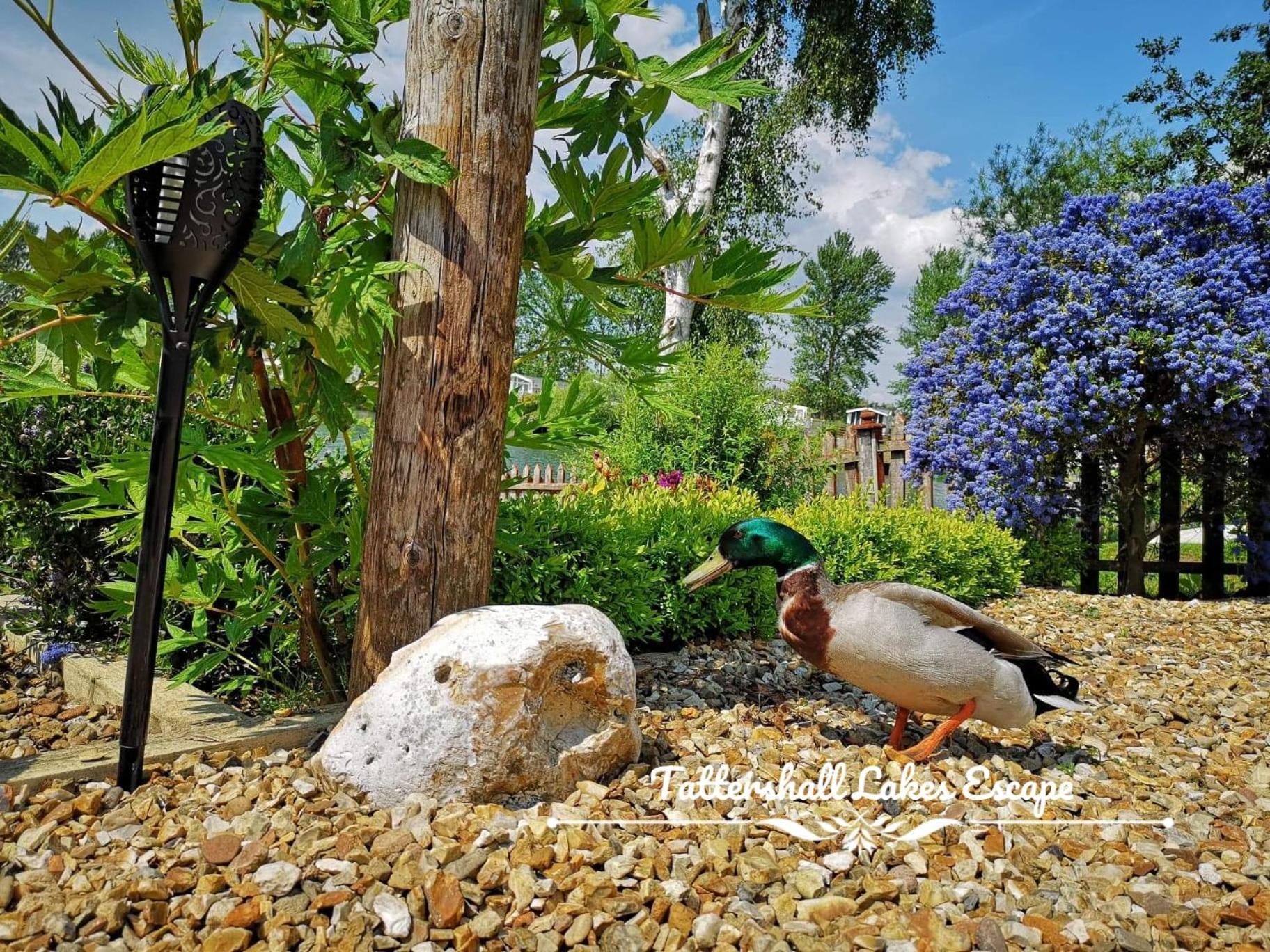 Meridian Tattershall Lakes Escape - Lakeside Lodge Caravan With A Fishing Peg Luxury Hot Tub Extérieur photo